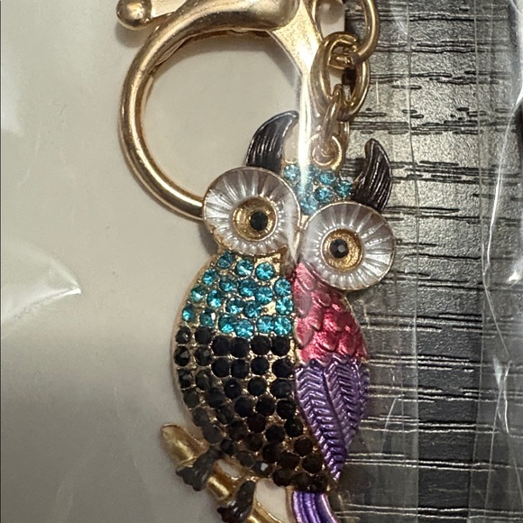 Mint Colorful Owl Keychain bundle - Picture 4 of 4